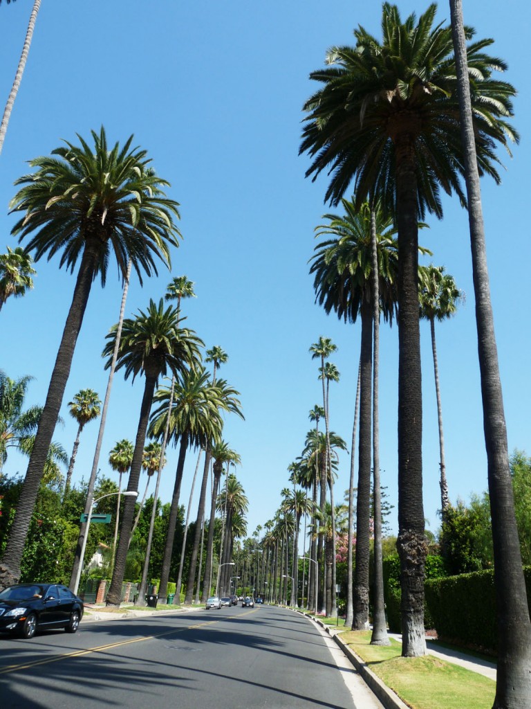 Los_Angeles (249)