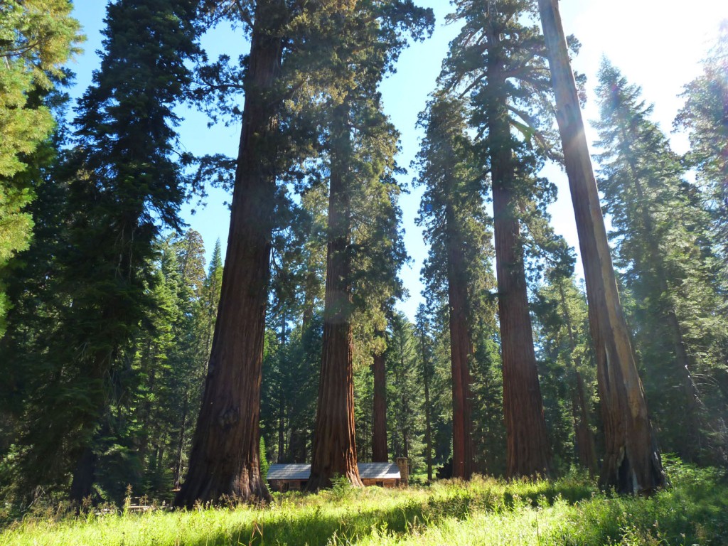 Yosemite (30)